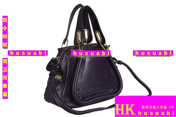 ���ο� �Ż� �Ķ�Ƽ�� ���� �����166323-1