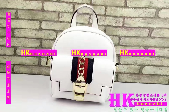 ���� ���� �Ż� G170225-33