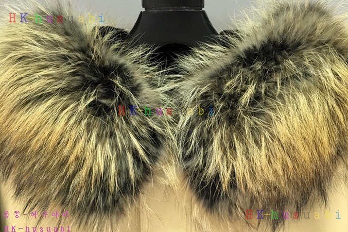 NEW ������ �е� �Ż�  BB 987008