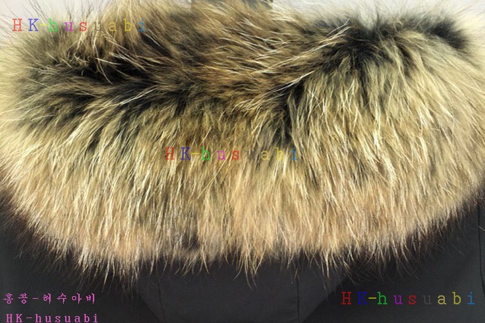 NEW ������ �е� �Ż�  BB 987007