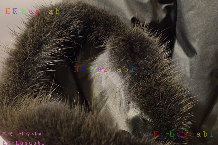 NEW �˸��� ������ �е� AR 850400