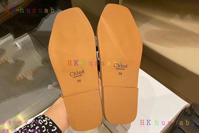 NEW ���ο� ������ �Ż� C 442504