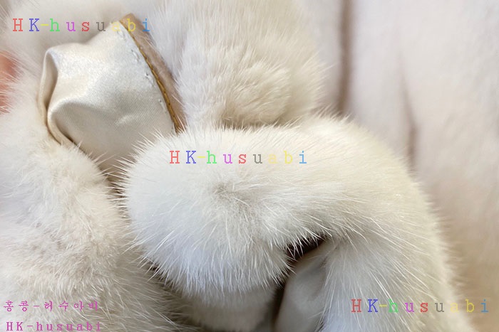 NEW ��� ��ũ���� �Ż� FD 2228071(���ݹ���) 